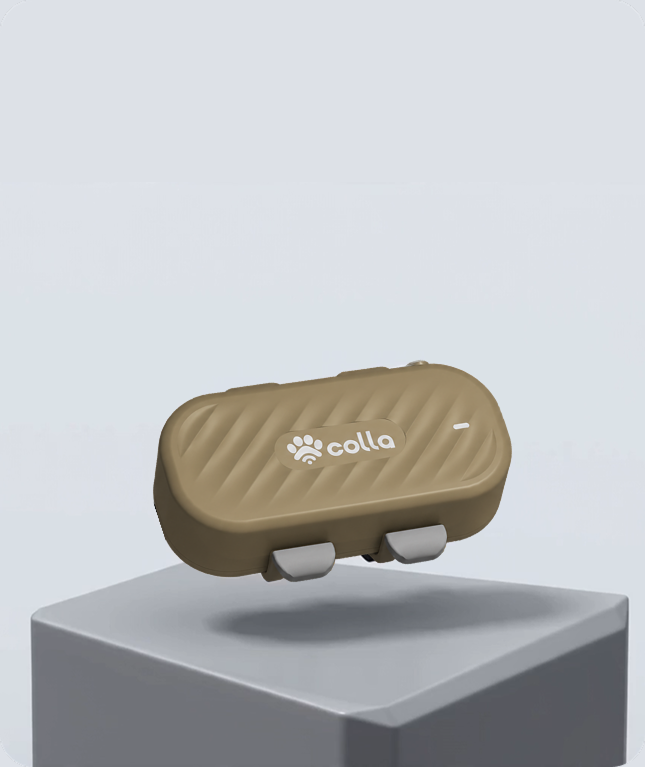Colla GPS Dog Tracker