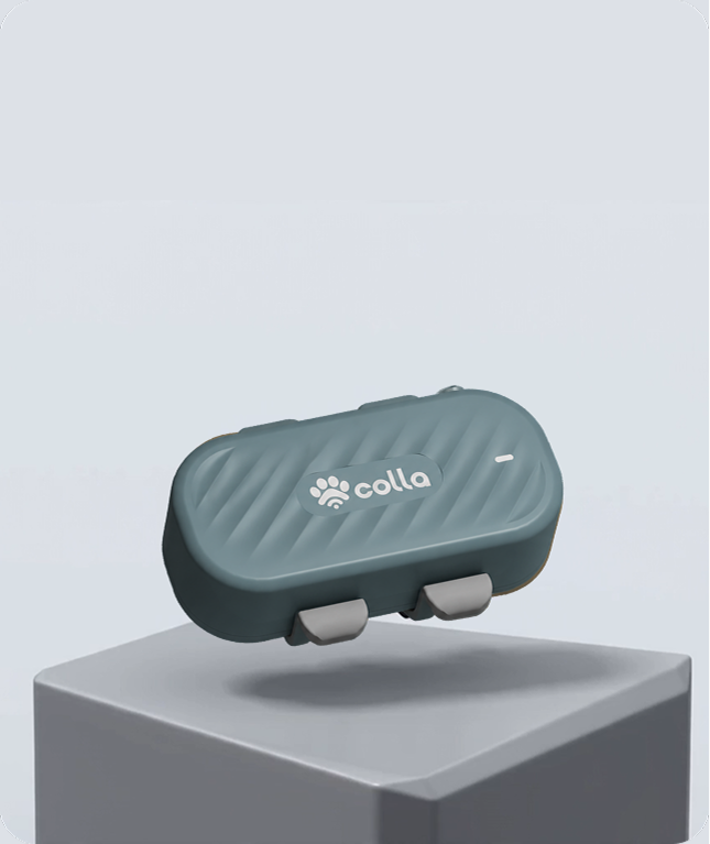 Colla GPS Dog Tracker