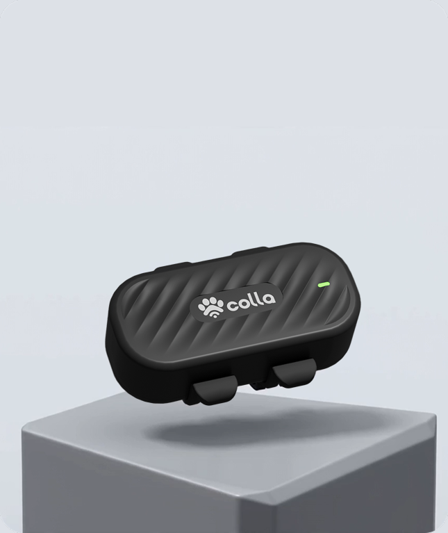 Colla GPS Dog Tracker