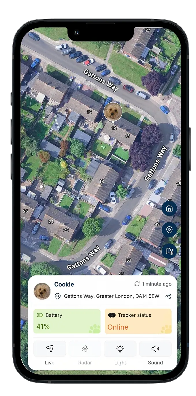 Colla app screen