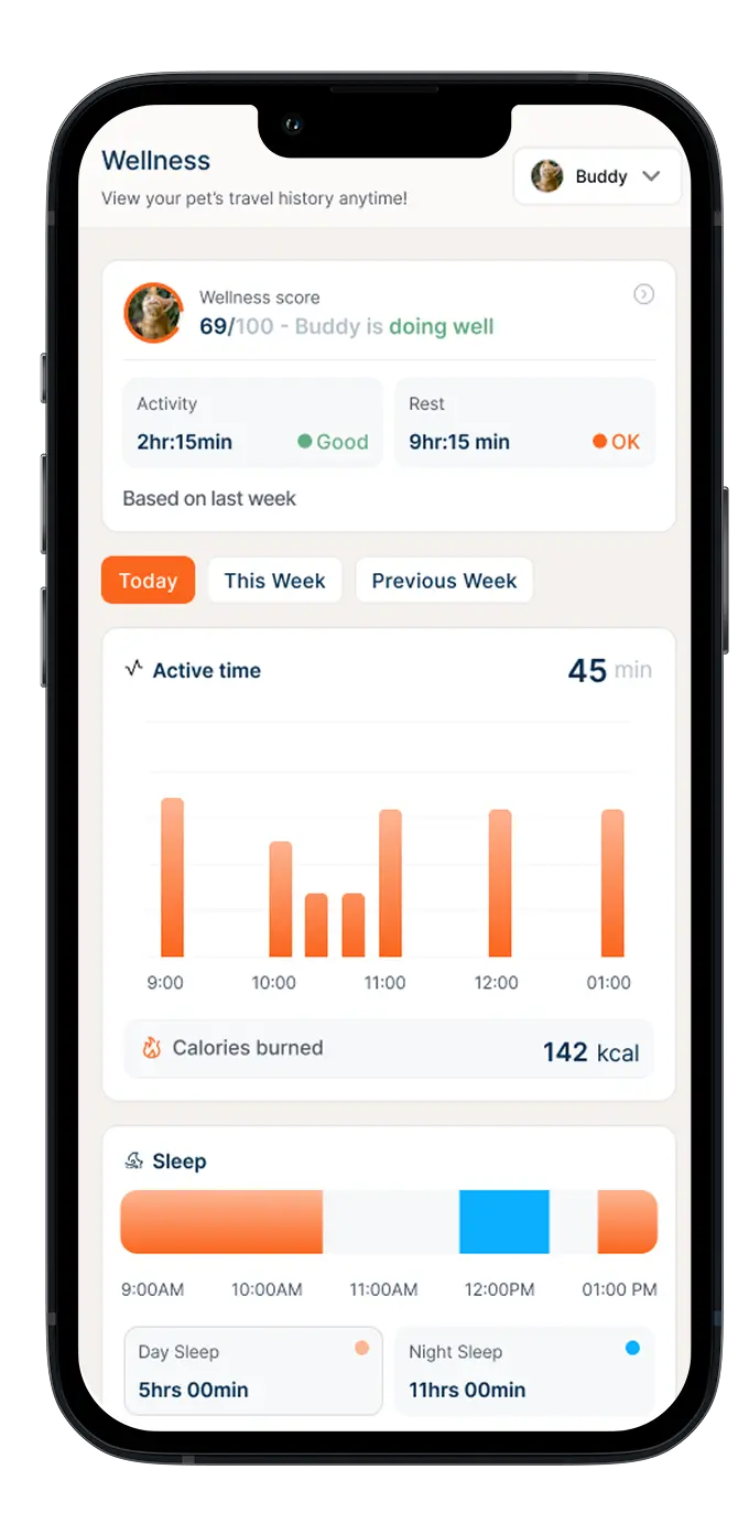Colla app screen
