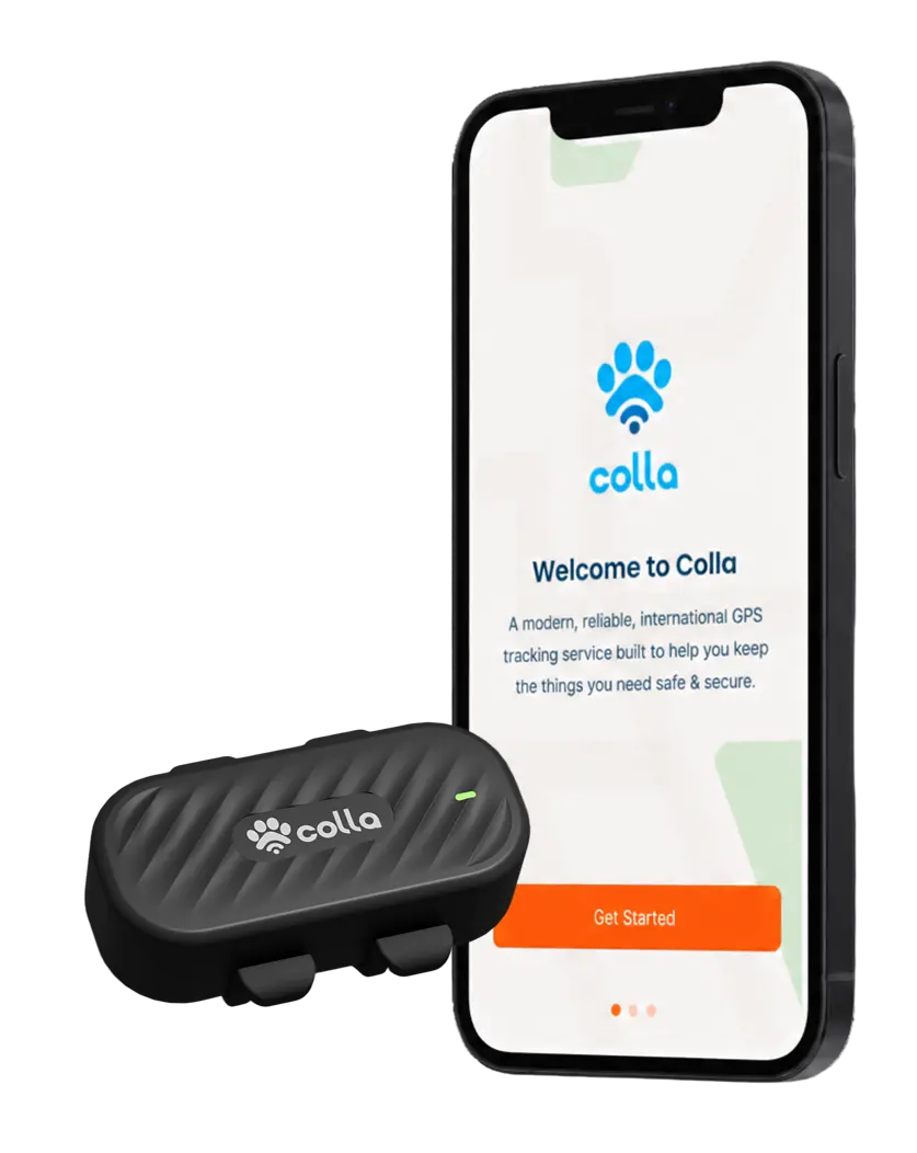 Colla app
